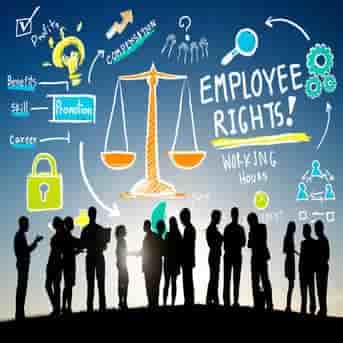 Employment Law (Employee)